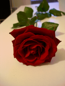 fleur