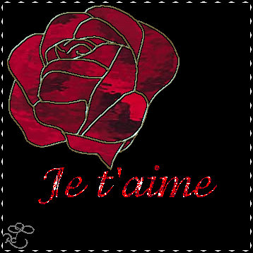 t'amie