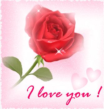 i love you sarah